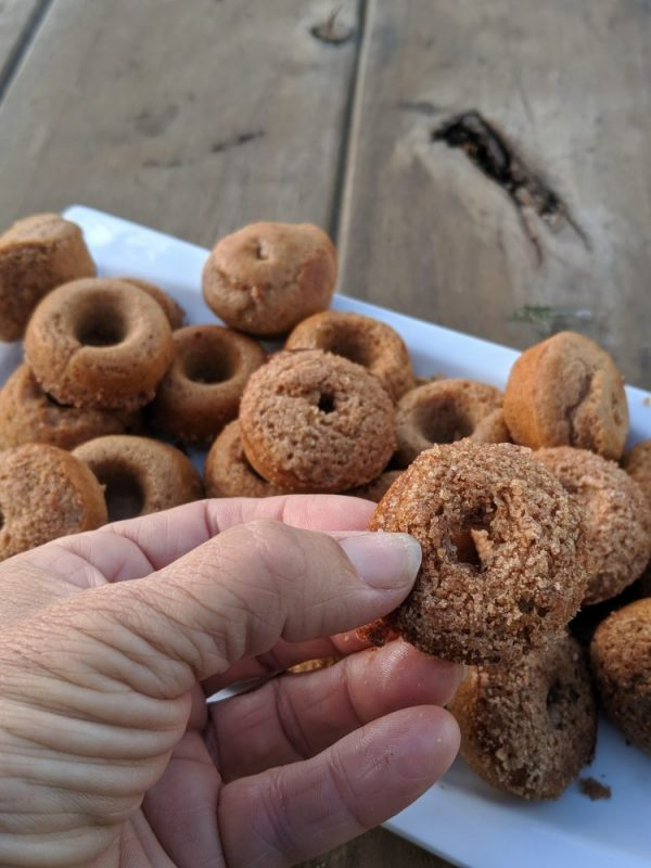 Homemade Cinnamon Protein Donuts